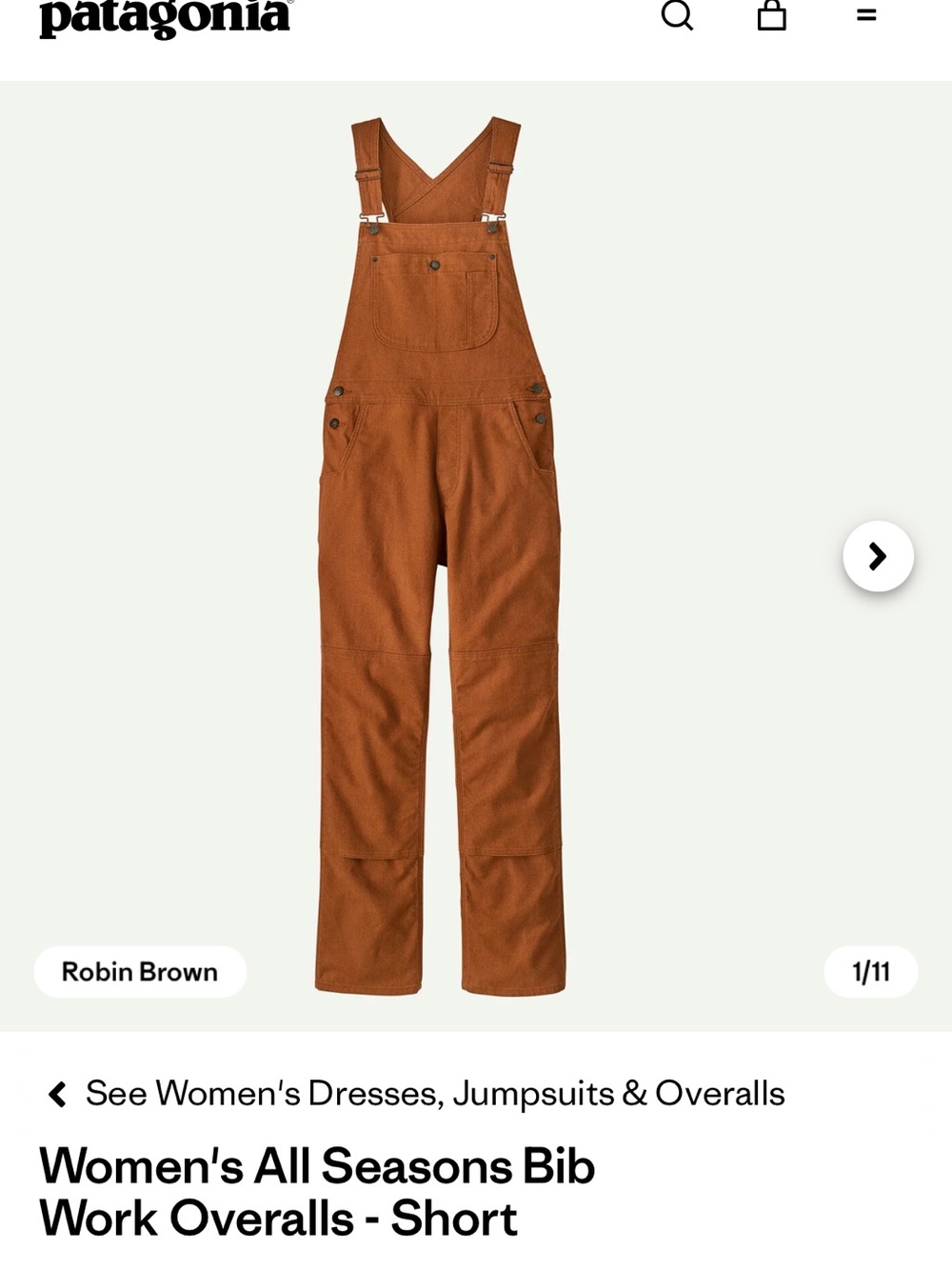 Patagonia Women's Robin Brown Bib Work Overalls